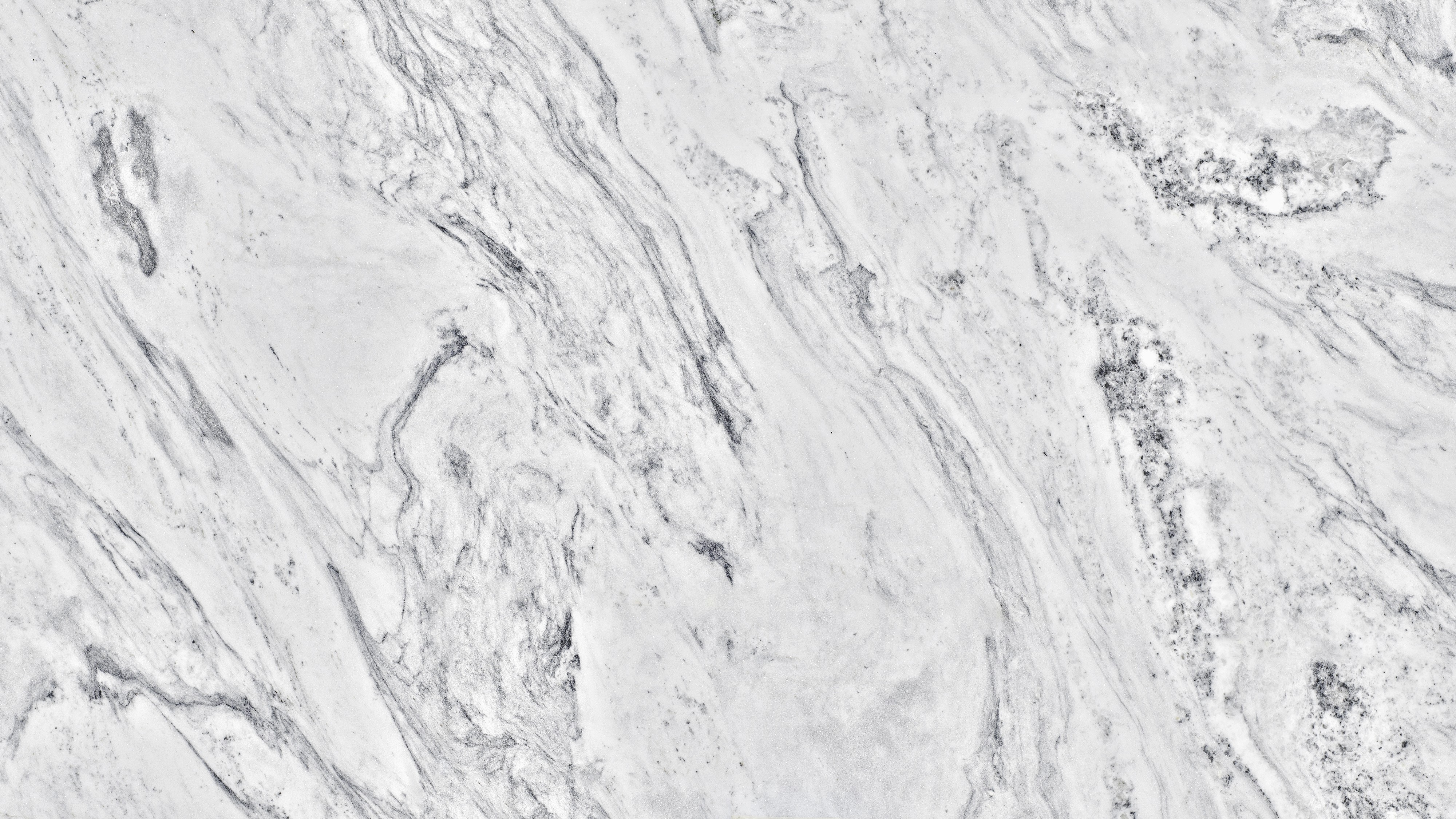 G Ornamental Golden Butterfly Kitchen Top Granite Texture